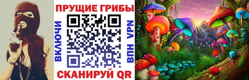 Псилоцибиновые грибы прущие грибы  кракен рабочий сайт  Кизел 